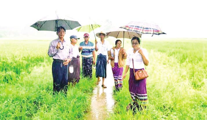 Letpadan’s farm-to-market road construction inspected