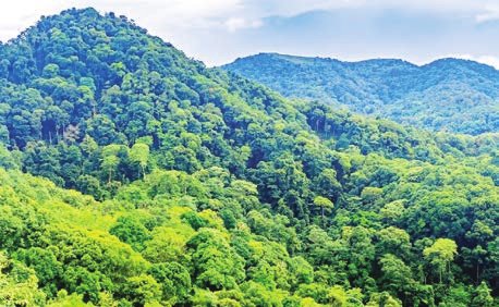 MNREC designates Thuwunnashan Protected Public Forest in Mongpyin