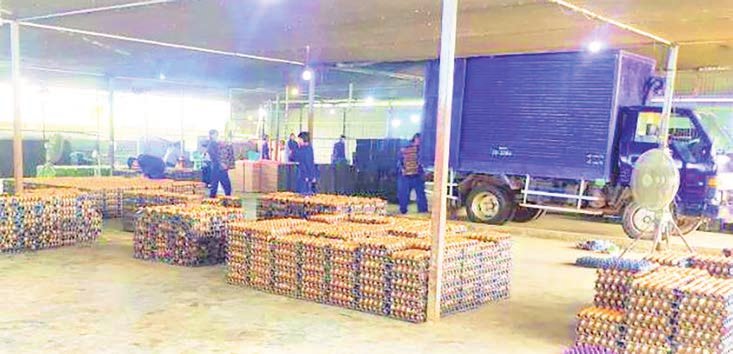 Yangon expands poultry farming