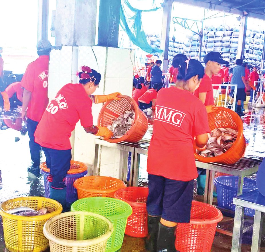 海産魚の需要増で魚価下落