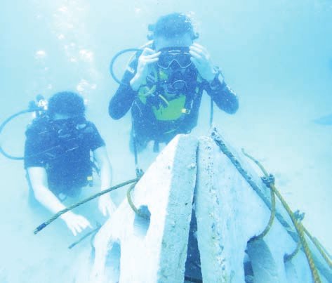 9 underwater fish condos, coral beds installed off Ngwehsaung Beach